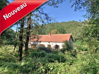 Moulin fondé en titre et sur titre 6 pièces à vendre en Combrailles, maison de meunier gîte 8 pièces, sur 3,8 ha de prairies. Possibilité activité de gîte ou chambres d’hôtes Moulin maison meunier à vendre Combrailles