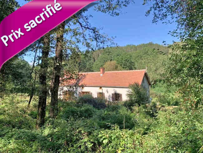 Moulin fondé en titre et sur titre 6 pièces à vendre en Combrailles, maison de meunier gîte 8 pièces, sur 3,8 ha de prairies. Possibilité activité de gîte ou chambres d’hôtes