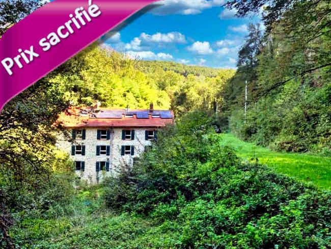 Moulin fondé en titre à vendre proche Saint-Amour Jura: 437 m² hab., 17 pièces, gîte de luxe 5 étoiles 14 couchages, appartement privé indépendant