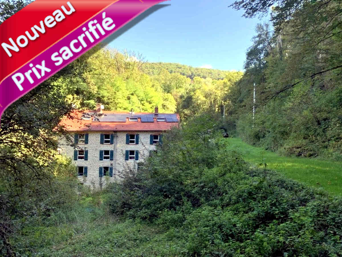 Moulin à vendre Saint-Amour Jura: 12 pièces, gîte de luxe 5 étoiles, appartement privé, chute, roue, parking, garage, panneaux solaires